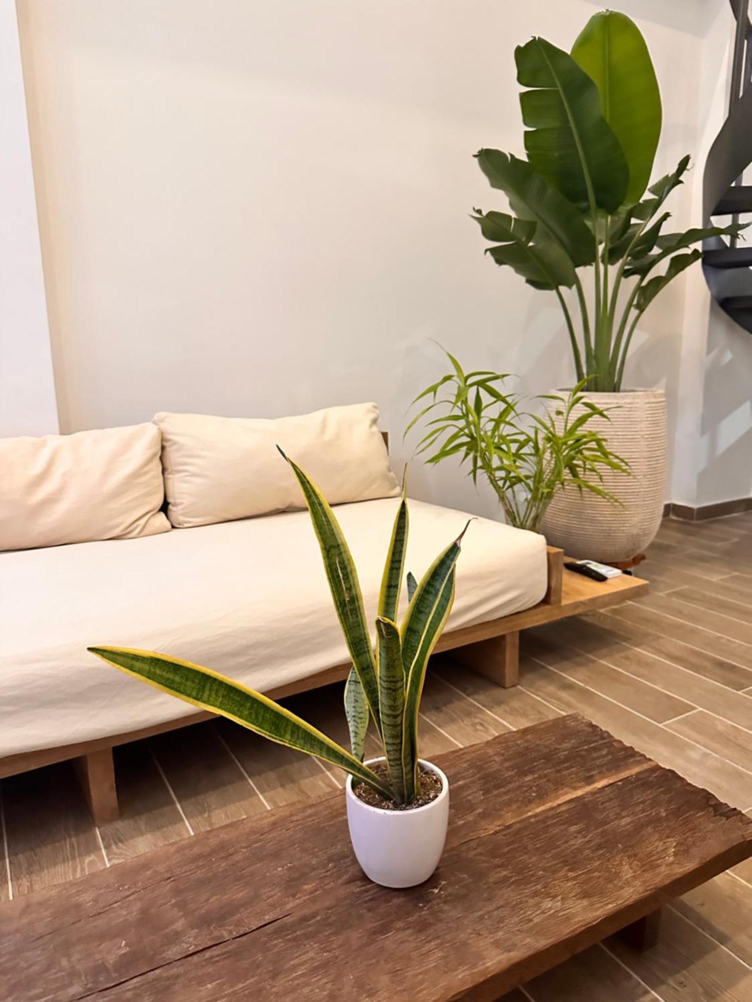 Apartamento Old City Duplex With Pool! Cartagena
